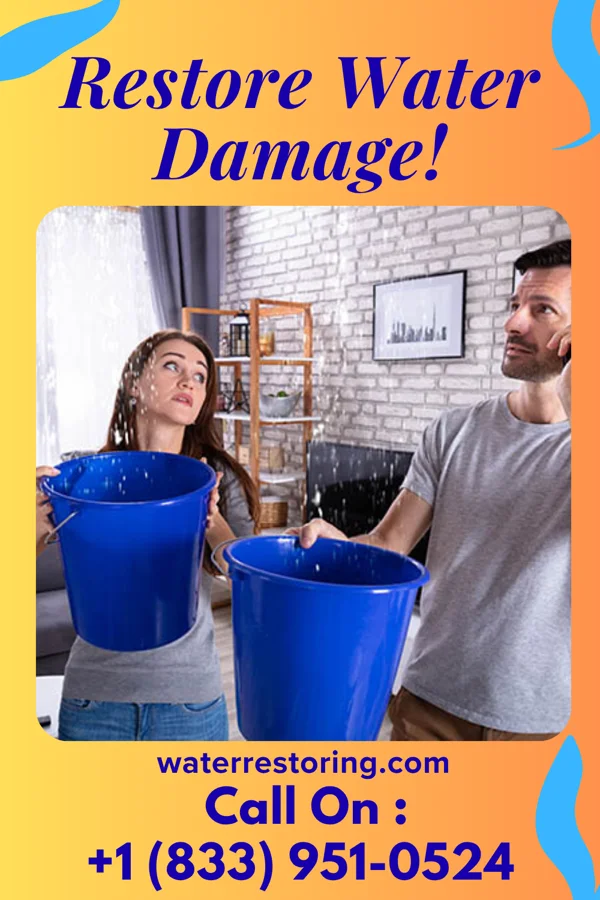 water restoration Total Water Damage Group Mount Lebanon
