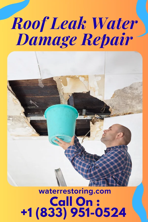 Roof Leak Water Damage Repair in Mount Lebanon, LA