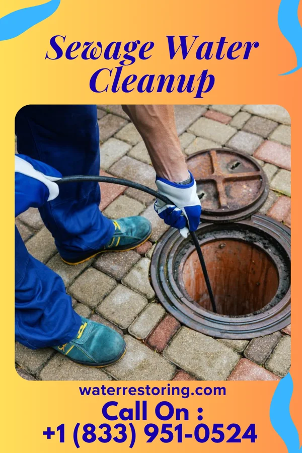 Sewage Water Cleanup in Mount Lebanon, LA